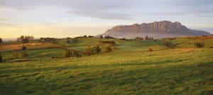 The Nut Tasmania Tours