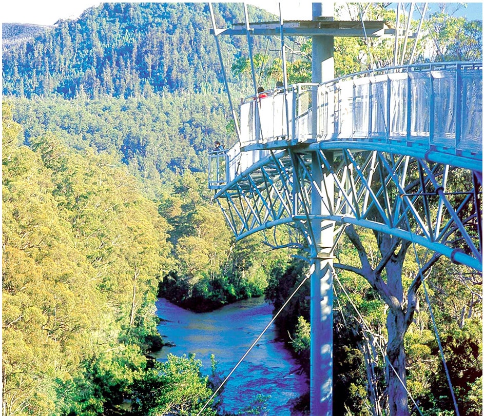 The Tahune Forest Airwalk is a must do Tasmania activity to see spectacular views from right above the Huon River Valley
