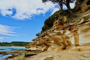 Visiting Maria Island