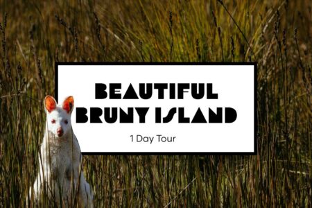 Beautiful Bruny Island Adventure Day Trip