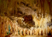Inside the Marakoopa Show Caves Tasmania Tours 5 Day WW