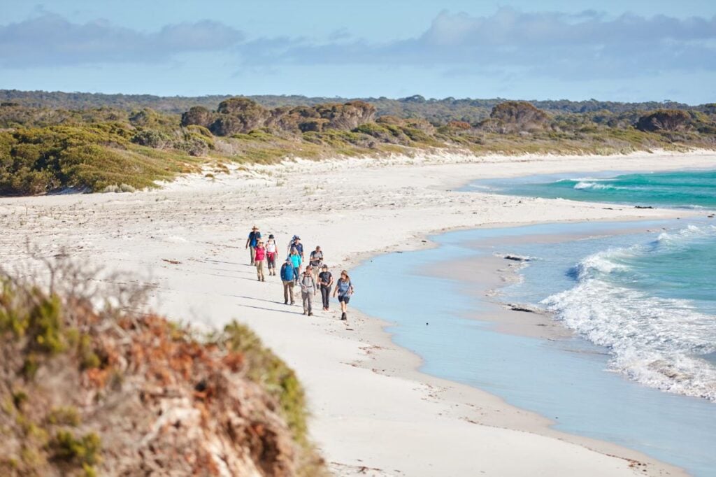 Group of guided walkers following the curve of a white sandy beach beside the clear turquoise water in Bay of Fires