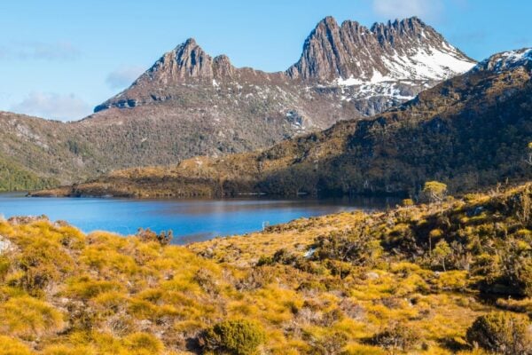 10 Day Tasmanian Wonders Coach Tour