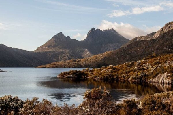 7 Day Tassie Parks & Nature Coach Tour
